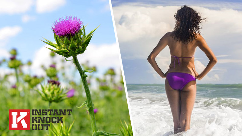 Could milk thistle help you lose weight?