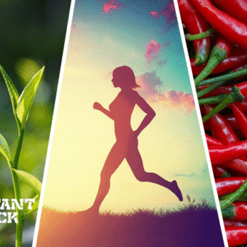 Combining Capsaicin and Green Tea Extract Boost Fat Loss