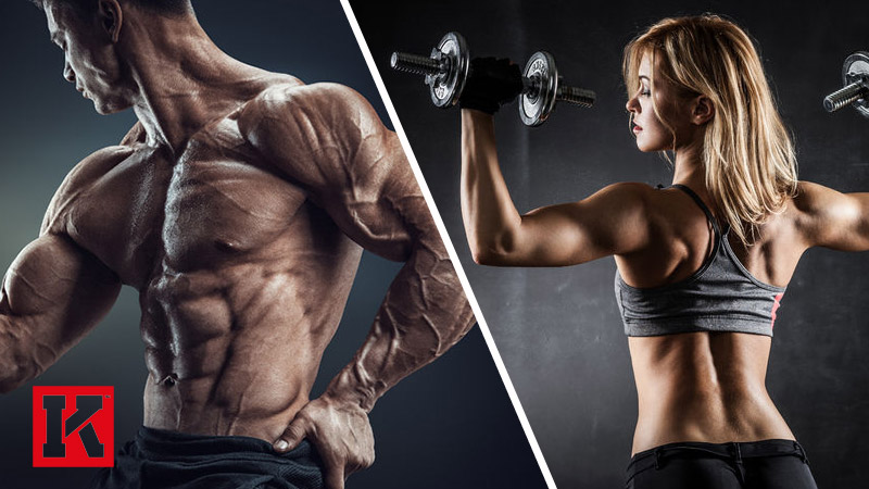 Can You Lose Fat and Gain Muscle at the Same Time?