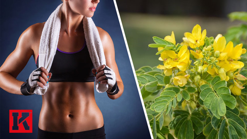 Does Senna Tea Boost Fat Loss?