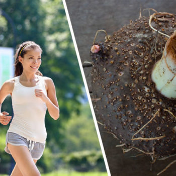 How Does Glucomannan Help You Lose Weight?