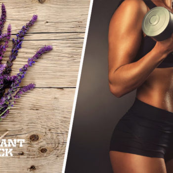 Is Salvia Root Good for Fat Loss?