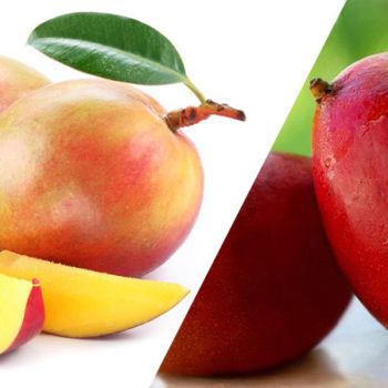 Irvingia Gabonensis: Does African Mango Work for Weight Loss?