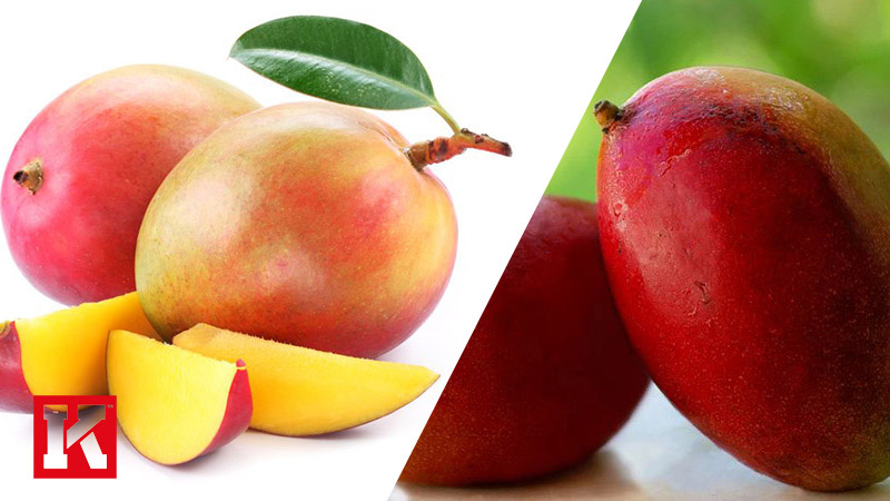 Irvingia Gabonensis: Does African Mango Work for Weight Loss?