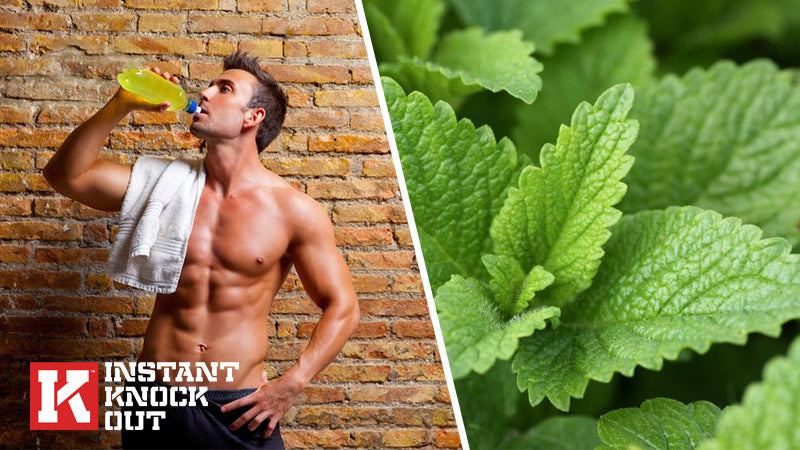 Does Peppermint Tea Help You Lose Weight? – Instant Knockout