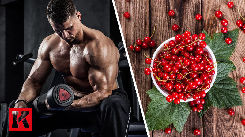 Does Rauwolscine Boost Fat Loss?