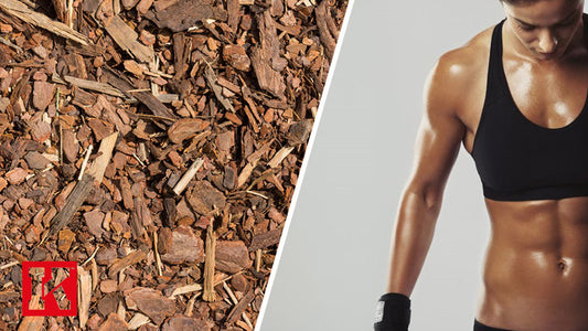 Does Yohimbe Boost Weight Loss?