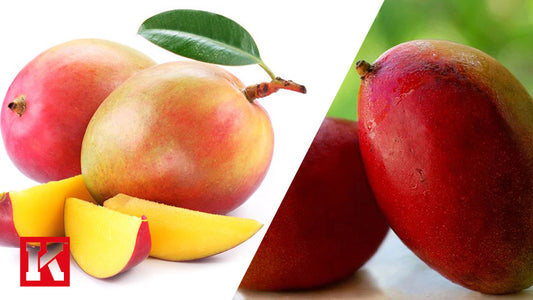 Irvingia Gabonensis: Does African Mango Work for Weight Loss?