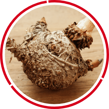 Glucomannan