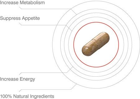 The science behind Instant Knockout