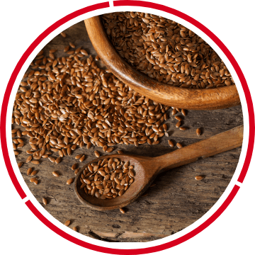 Golden Flaxseed