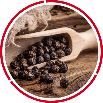 Black Pepper Extract